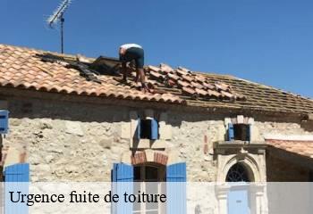 Urgence fuite de toiture