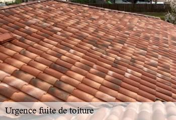 Urgence fuite de toiture