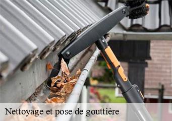 Nettoyage et pose de gouttière