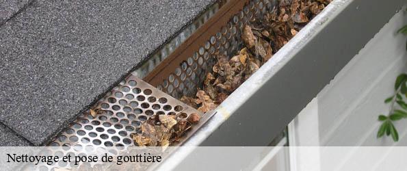 Nettoyage et pose de gouttière