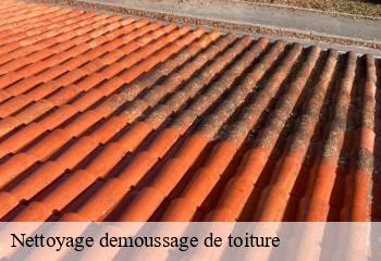 Nettoyage demoussage de toiture