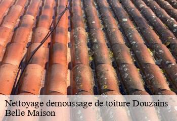 Nettoyage demoussage de toiture