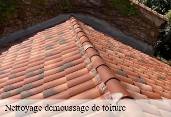 Nettoyage demoussage de toiture